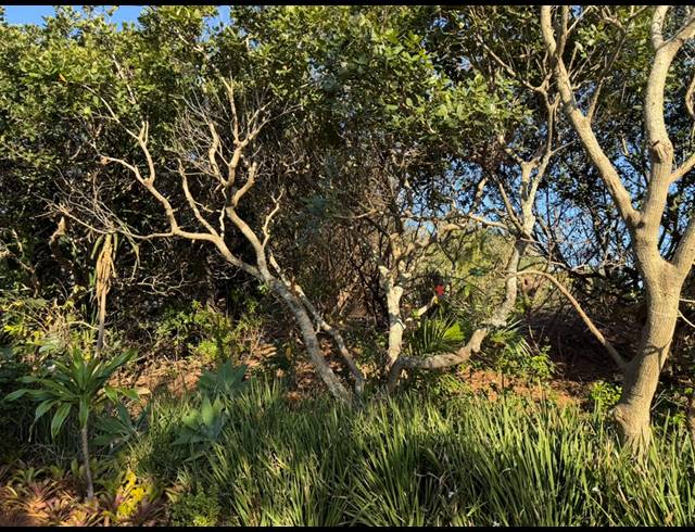 848M² VACANT LAND FOR SALE IN SHEFFIELD BEACH